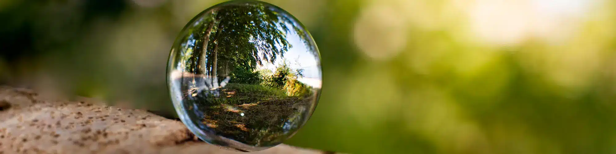 Garden Mirrors Delightful How To: Add Sparkling light, Magic, and Depth